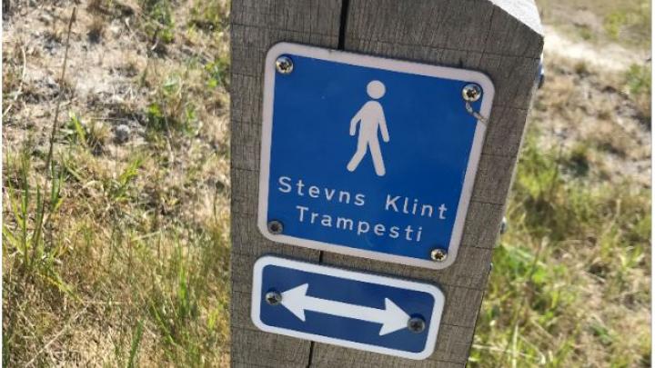 Stevns Klint Trampesti